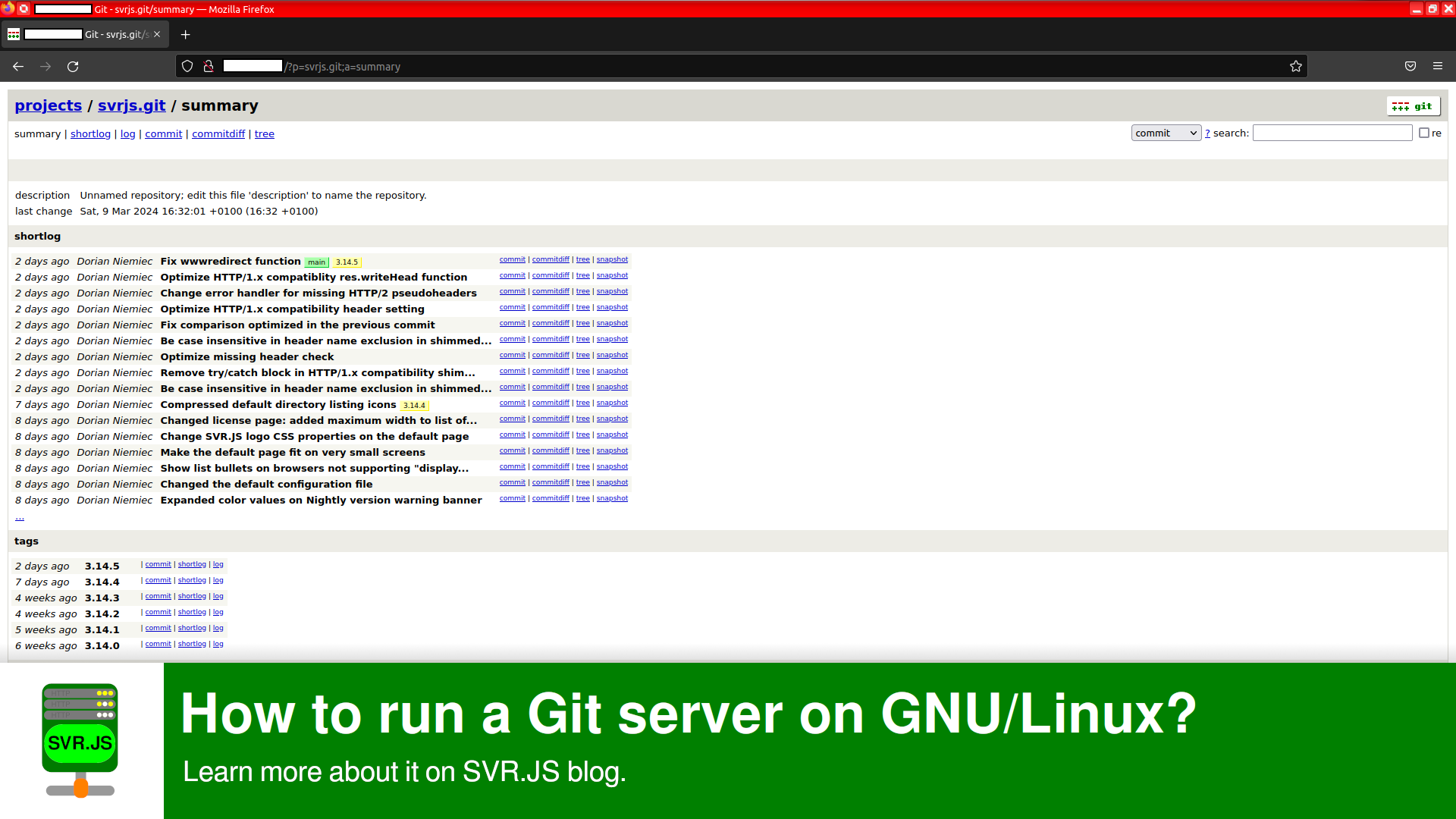 How to run a Git server on GNU/Linux?
